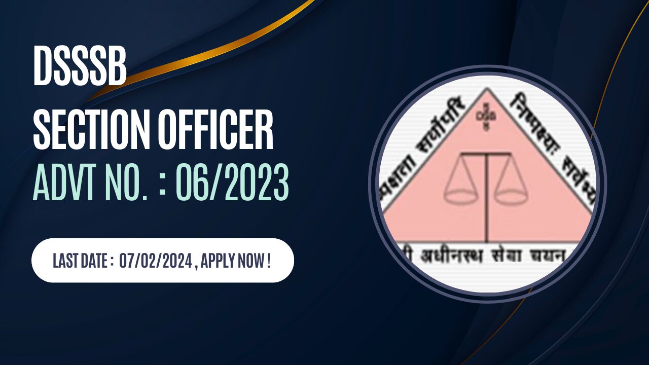 Delhi Govt. DSSSB Section Officer Online Form 2024 - Government Jobs